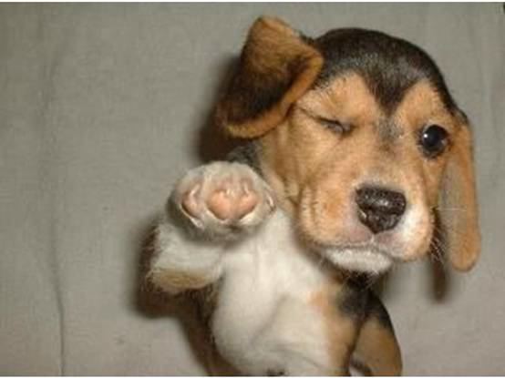 Have a great Day!.jpg